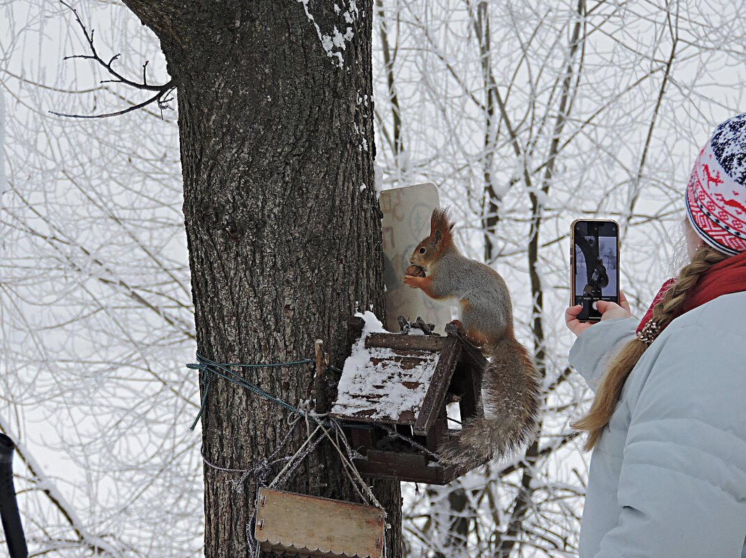 За орехи спасибо и прошу не отвлекать... - Мария Васильева За орехи спасибо и прошу не отвлекать... - Мария Васильева