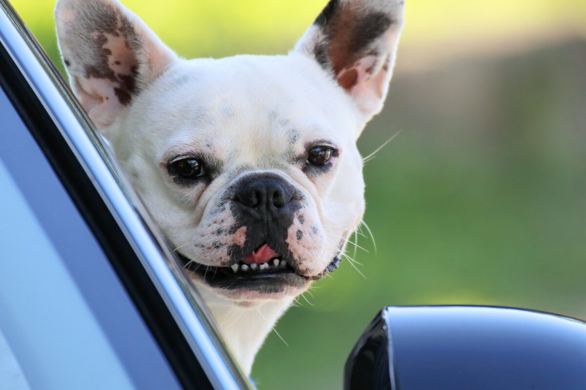 И снова в путь - Ефим Журбин И снова в путь - Ефим Журбин