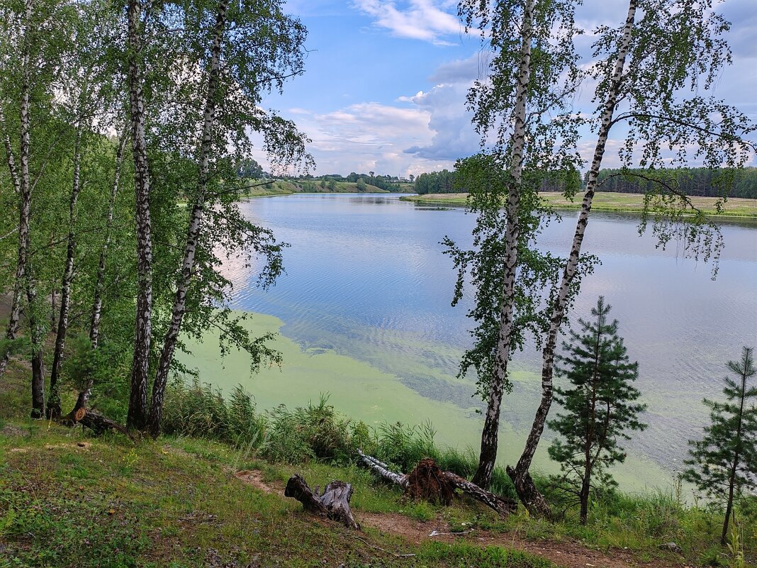 Август - tamara kremleva Август - tamara kremleva