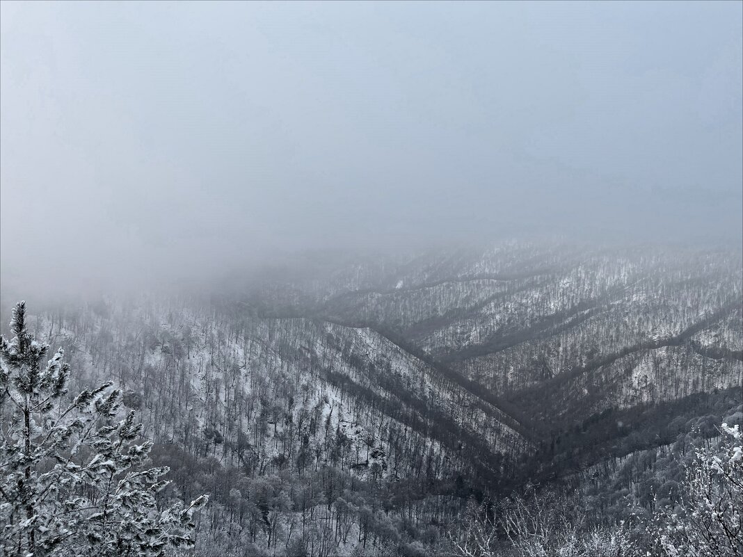 Над пропастью туман! - Надежда 