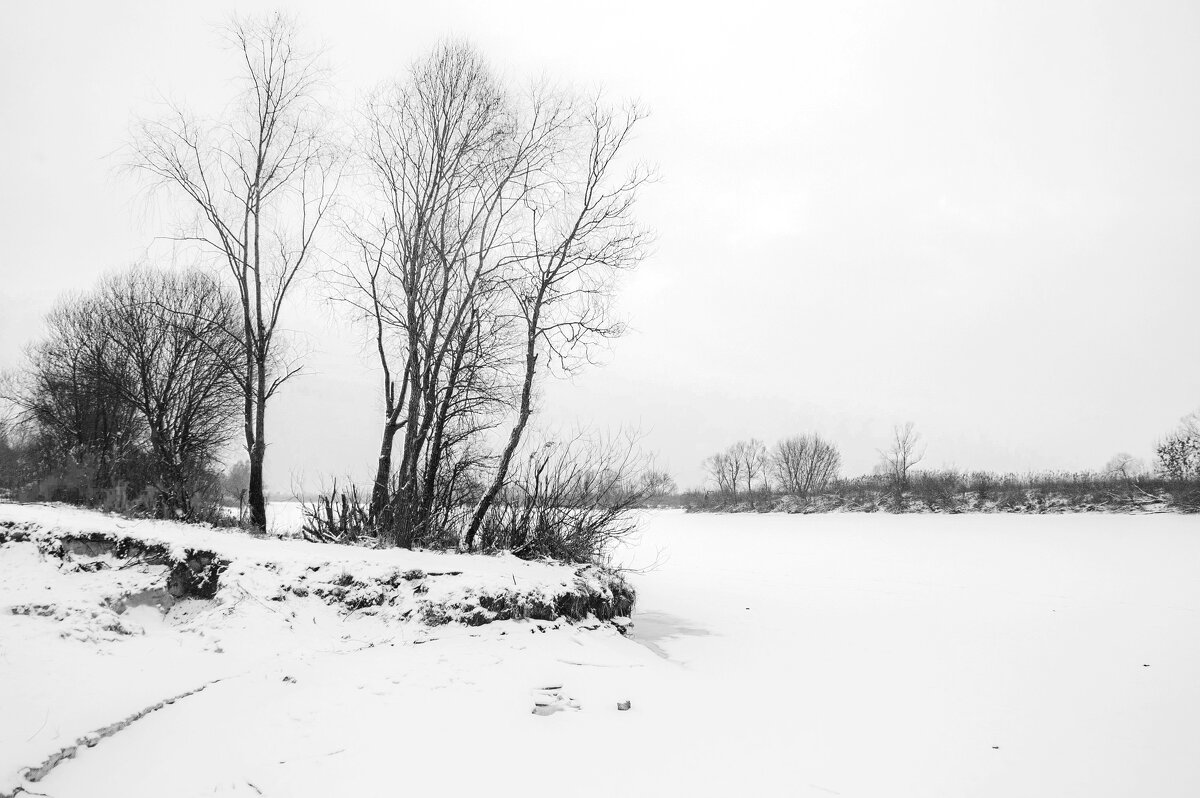 ... - Елена Пономарева ... - Елена Пономарева