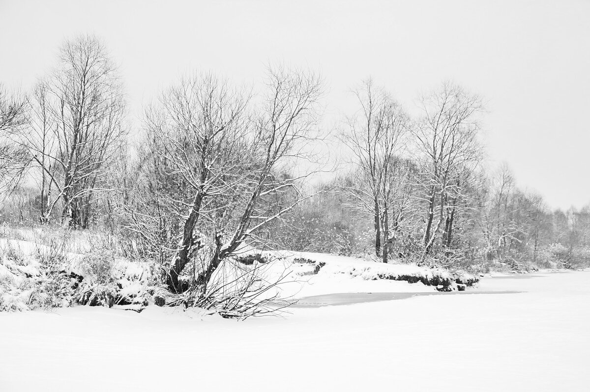 ... - Елена Пономарева ... - Елена Пономарева
