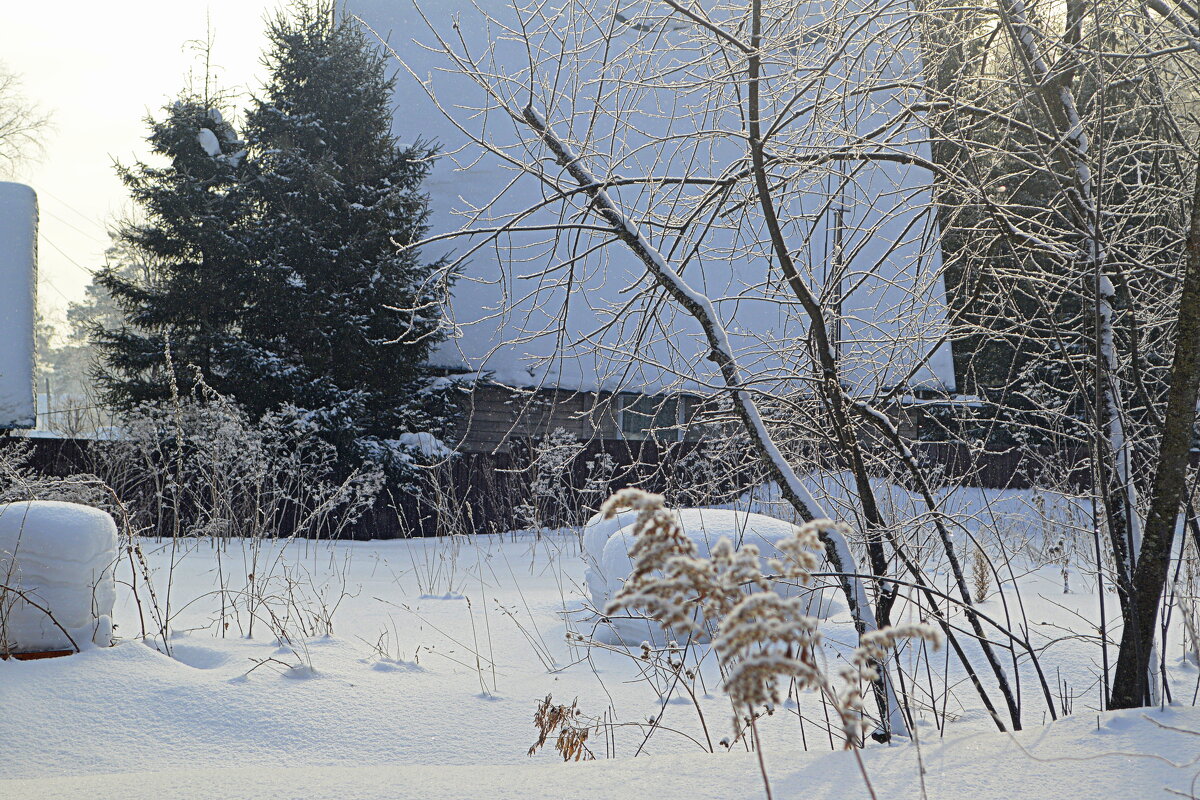 Зимние дачи - Татьяна Лютаева Зимние дачи - Татьяна Лютаева