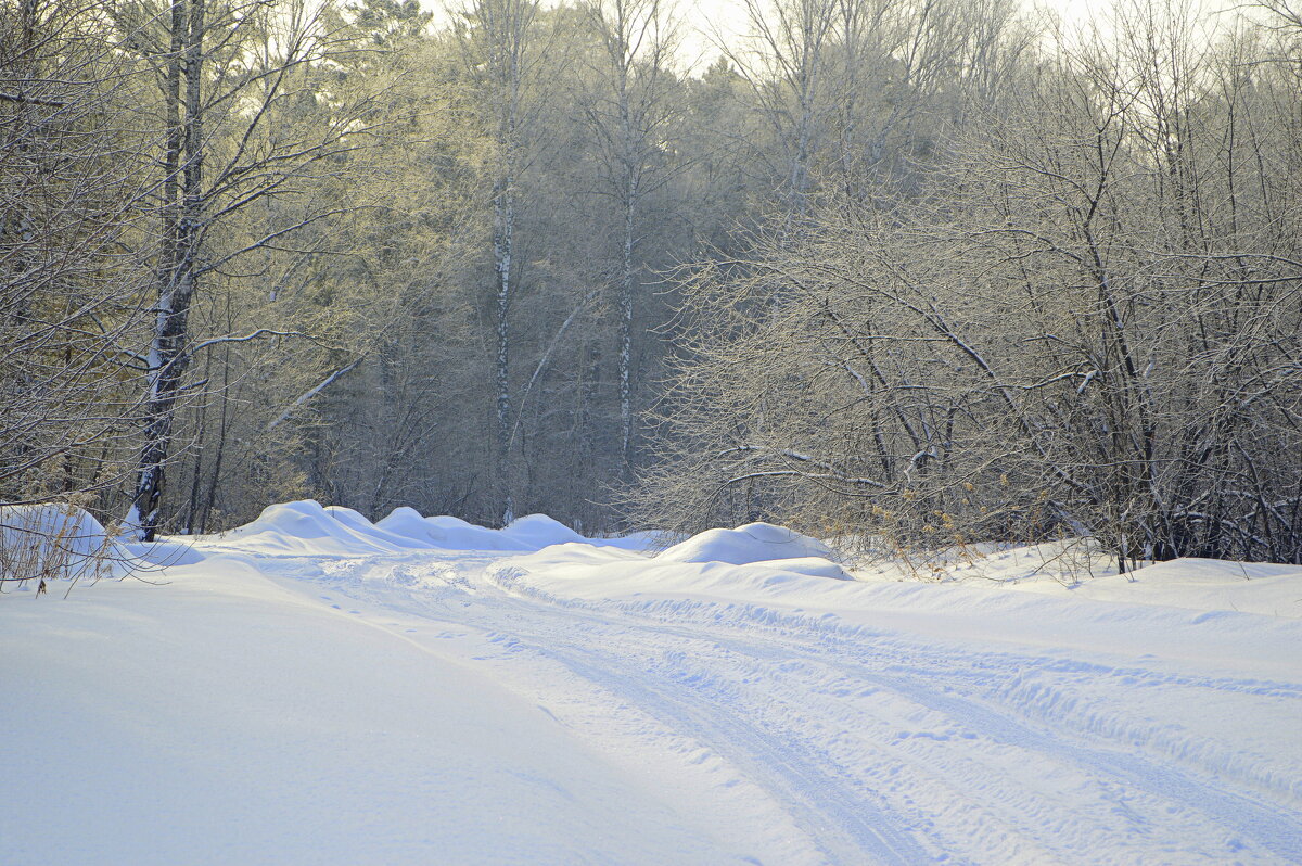 Снежная дорога на дачу - Татьяна Лютаева