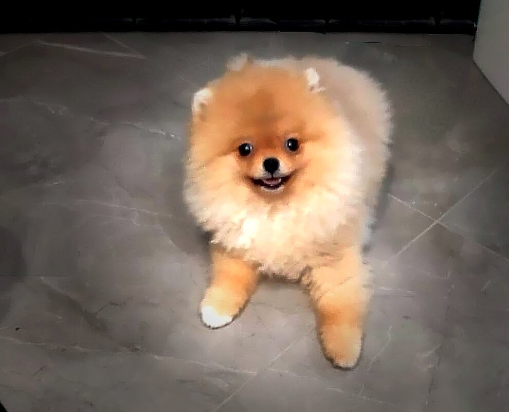 Случайная встреча. - Ольга Довженко