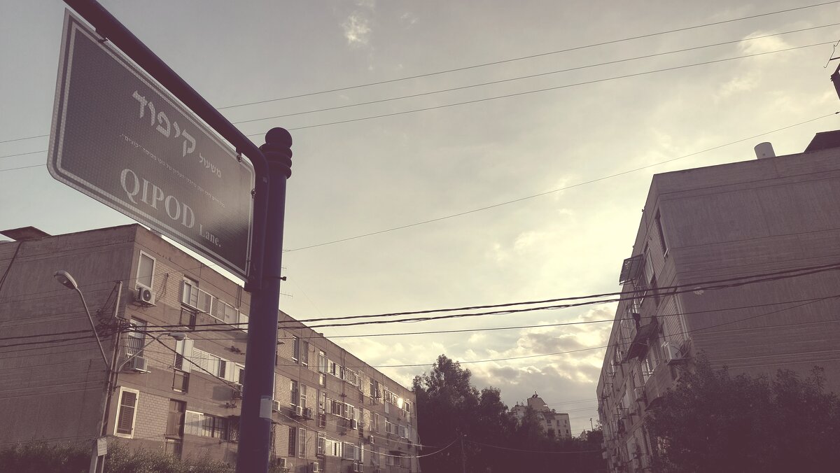 12 КЛОС (558) - CLOSE WAYS ALL 12 КЛОС (558) - CLOSE WAYS ALL