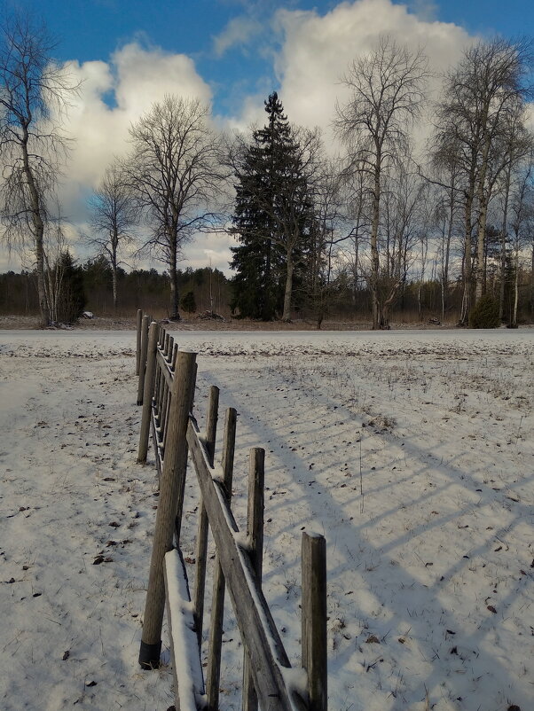 Февральское....малоснежное - Татьян@ Ивановна