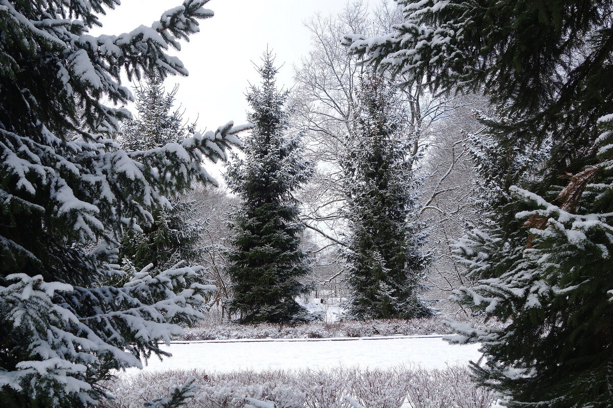 Февраль в городском парке - Рита Симонова Февраль в городском парке - Рита Симонова