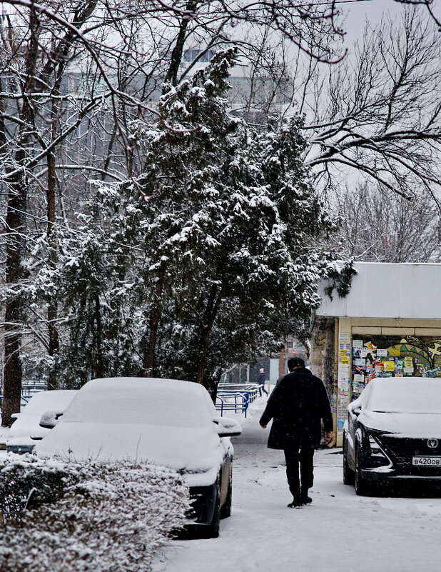 К нам заглянула Зима... - Николай Саржанов К нам заглянула Зима... - Николай Саржанов