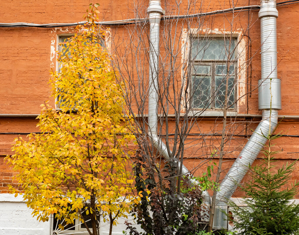 ... - Олег Фролов