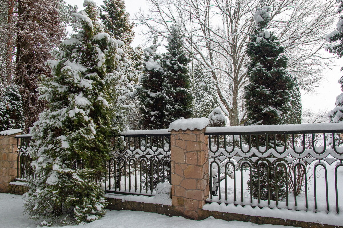 *** - Геннадий Порохов