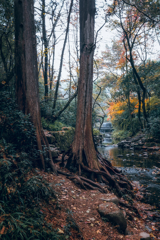 Парк Цзюси с Ханчжоу - Дмитрий Парк Цзюси с Ханчжоу - Дмитрий
