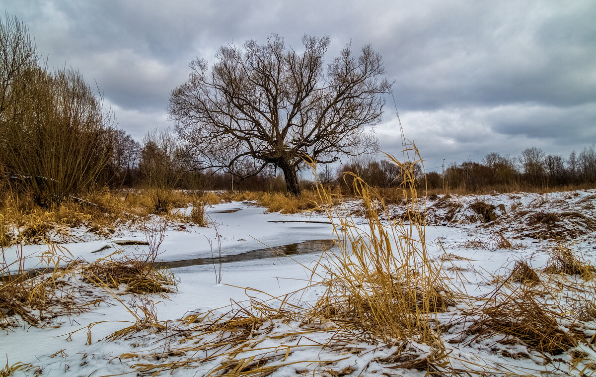 Наконец то зима.2 - Андрей Дворников Наконец то зима.2 - Андрей Дворников