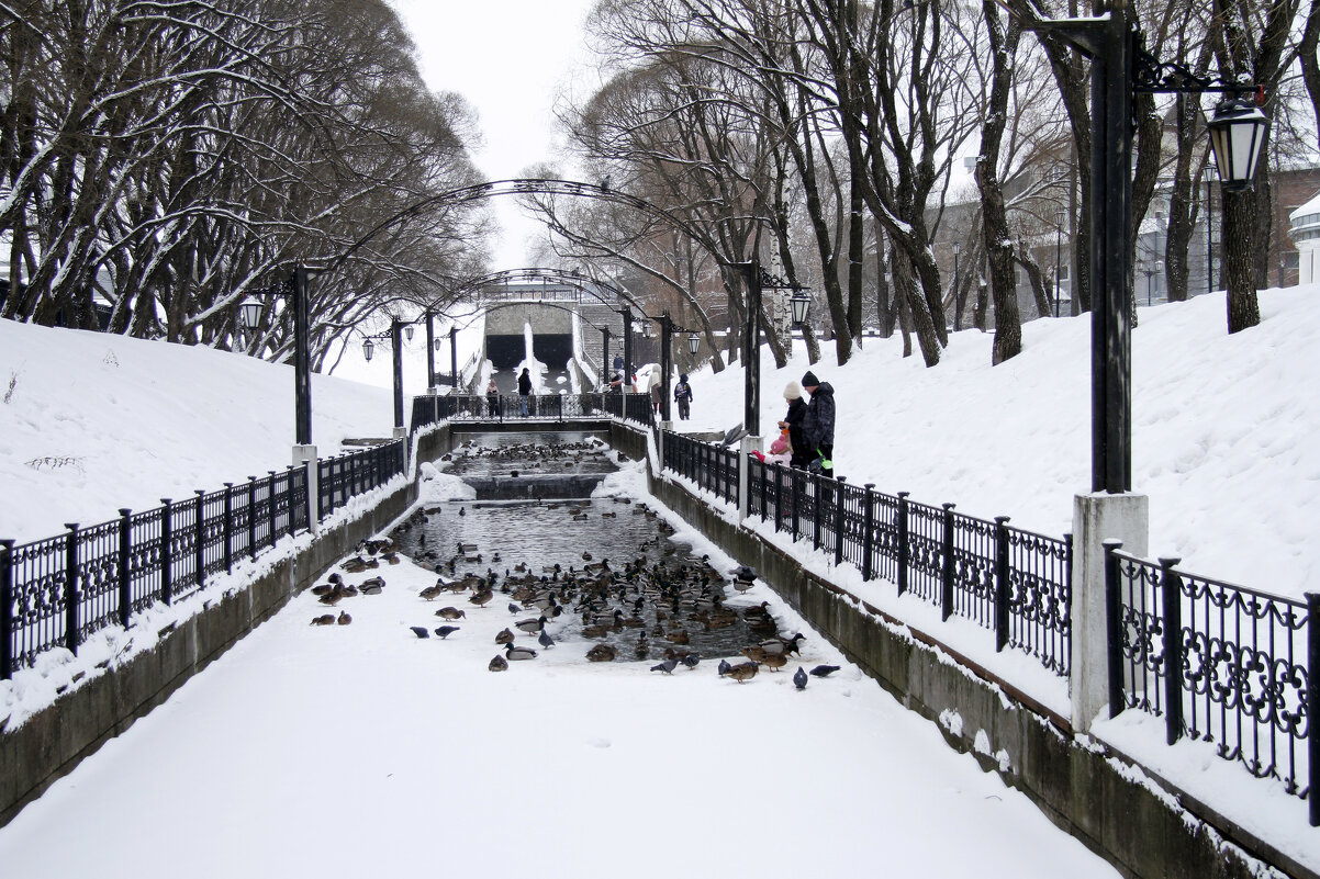 На реке Мотовилихе - Евгений Шафер