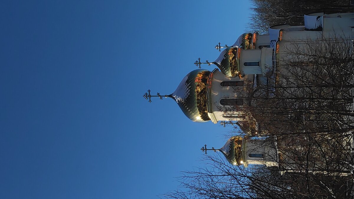 Морозный день - Андрей 