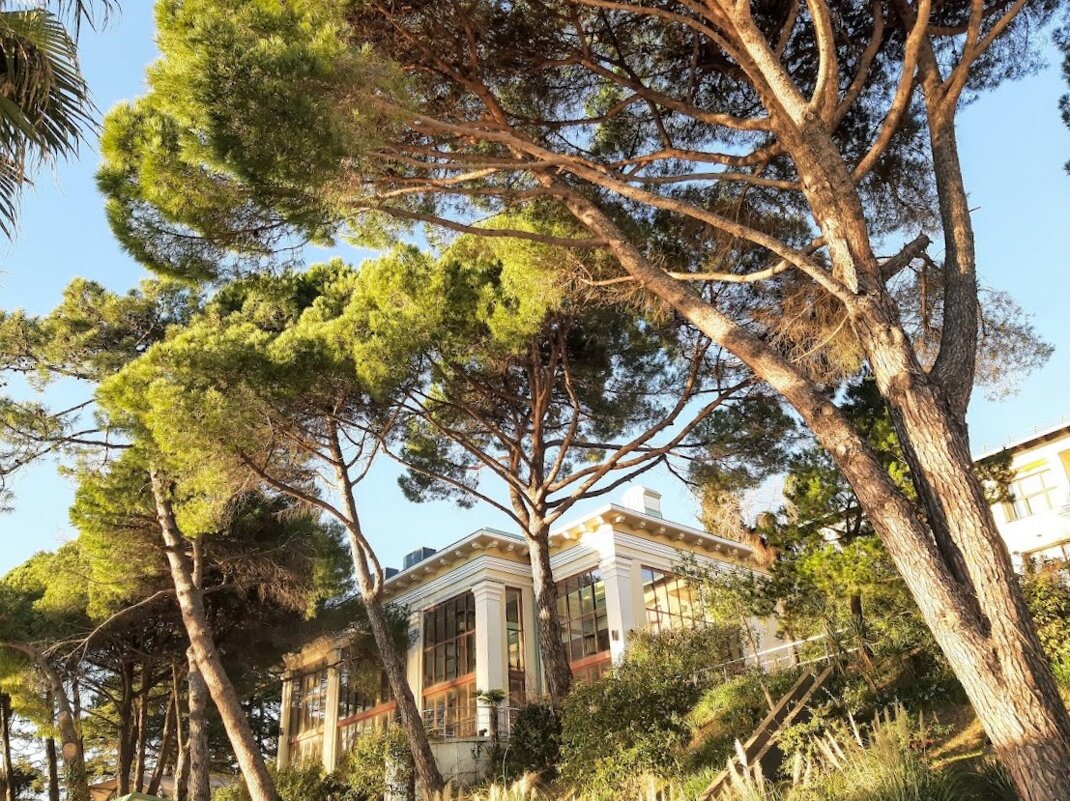 Санаторий Авангард - Tata Wolf