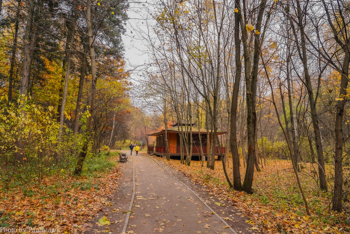 Московская осень... - Владимир Жданов
