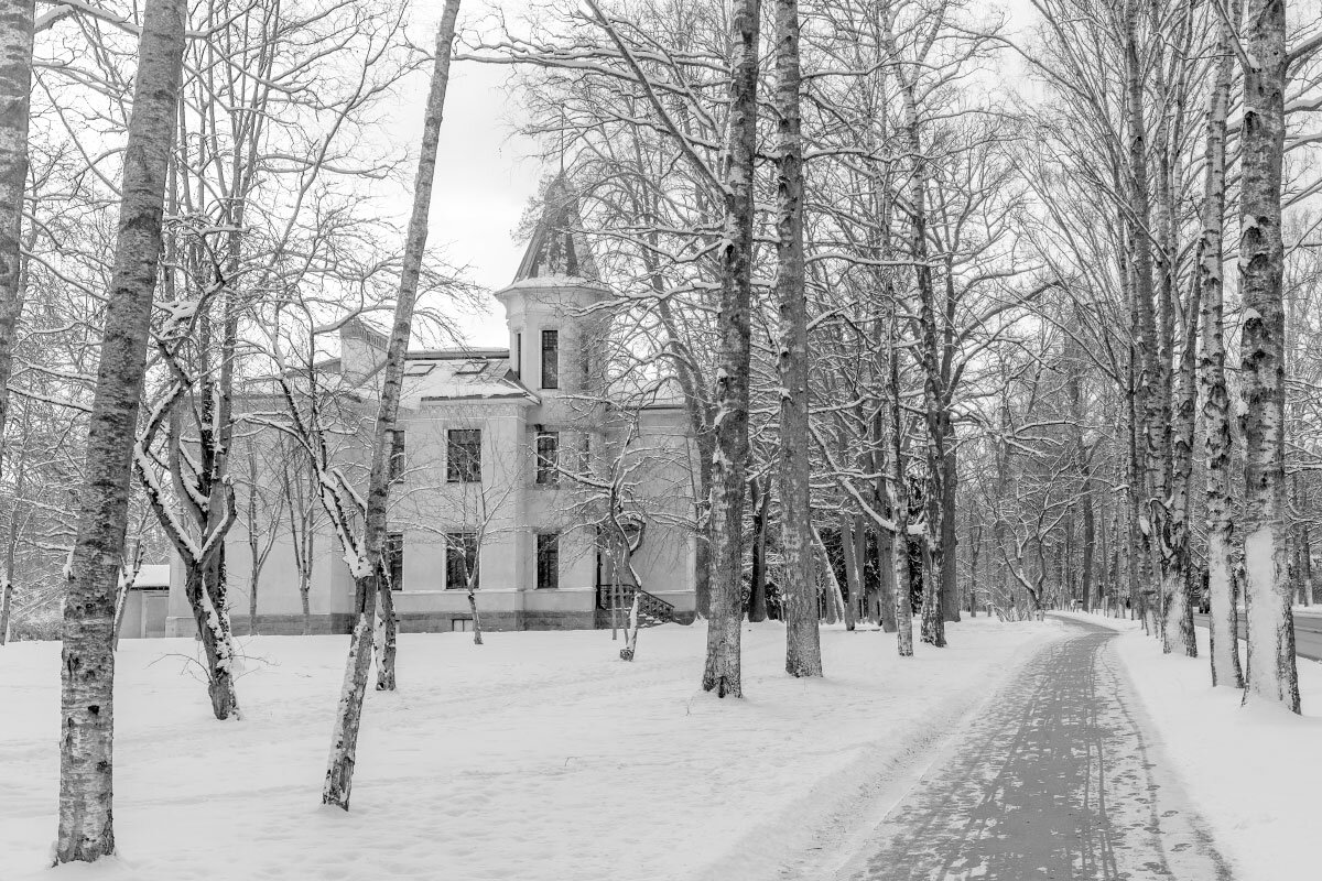 Зима в Павловске. - vladimir Б