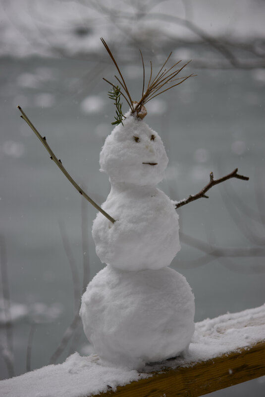 Здравствуй зима! - Дмитрий А Здравствуй зима! - Дмитрий А