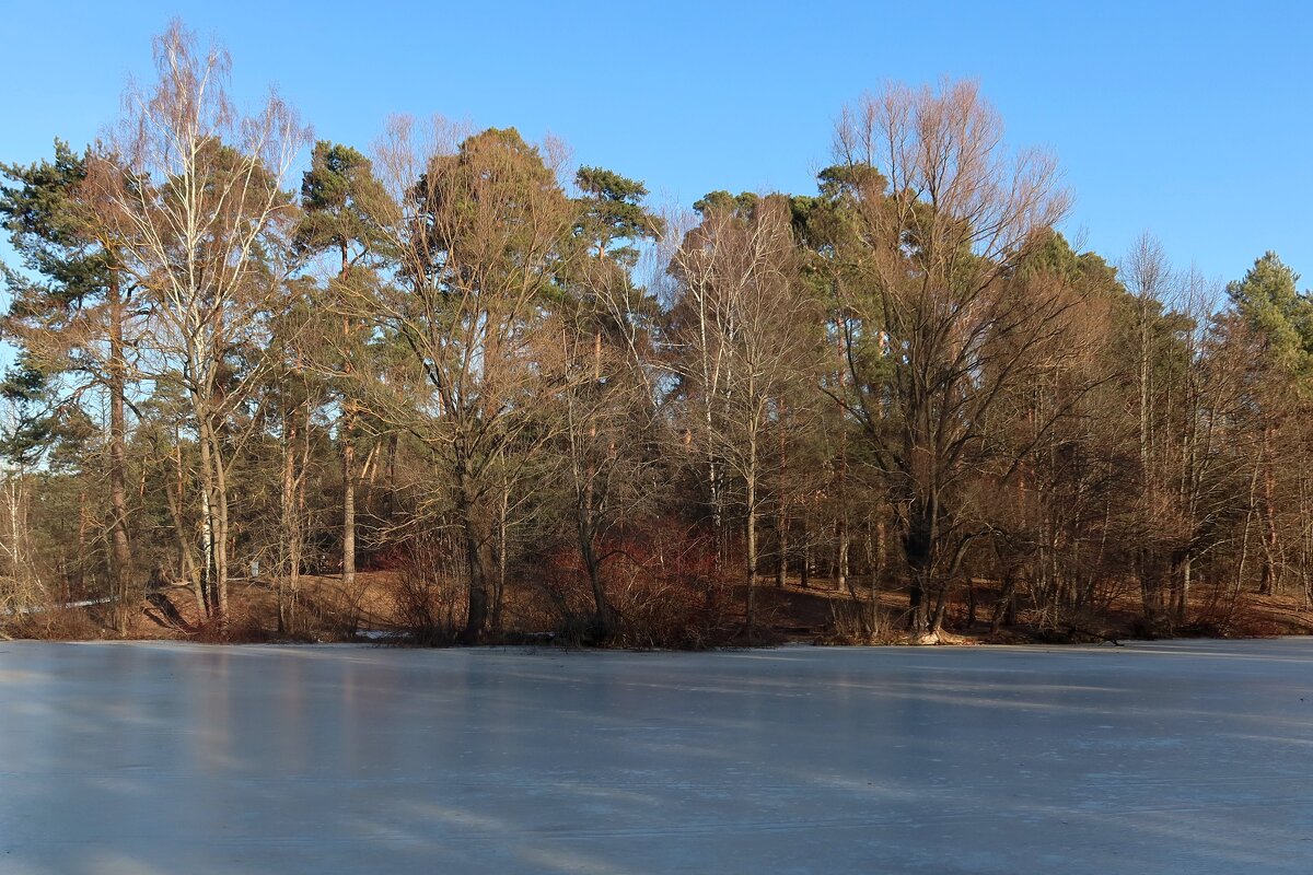 Лесное озеро - Дмитрий И_ Лесное озеро - Дмитрий И_