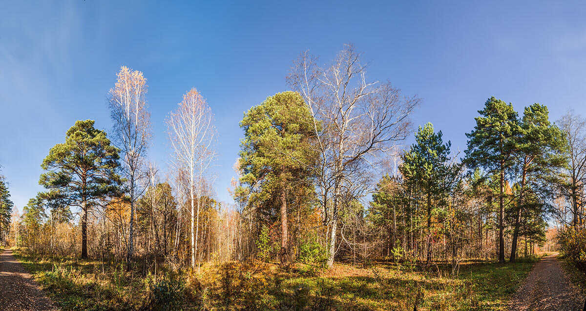 Панорама - SanSan 