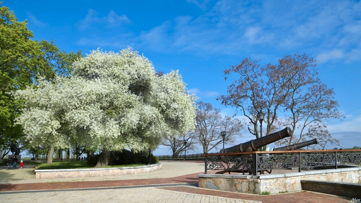 3729 - Alex . 3729 - Alex .