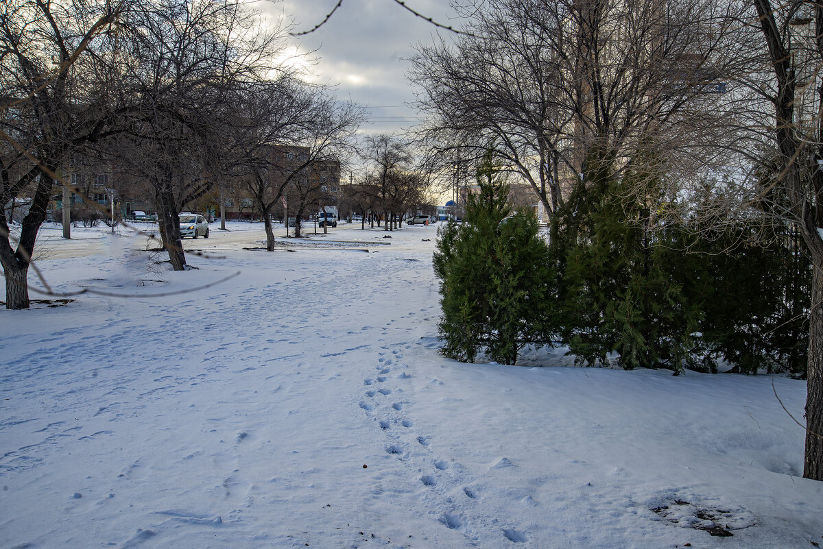 Зима - Анатолий Чикчирный Зима - Анатолий Чикчирный