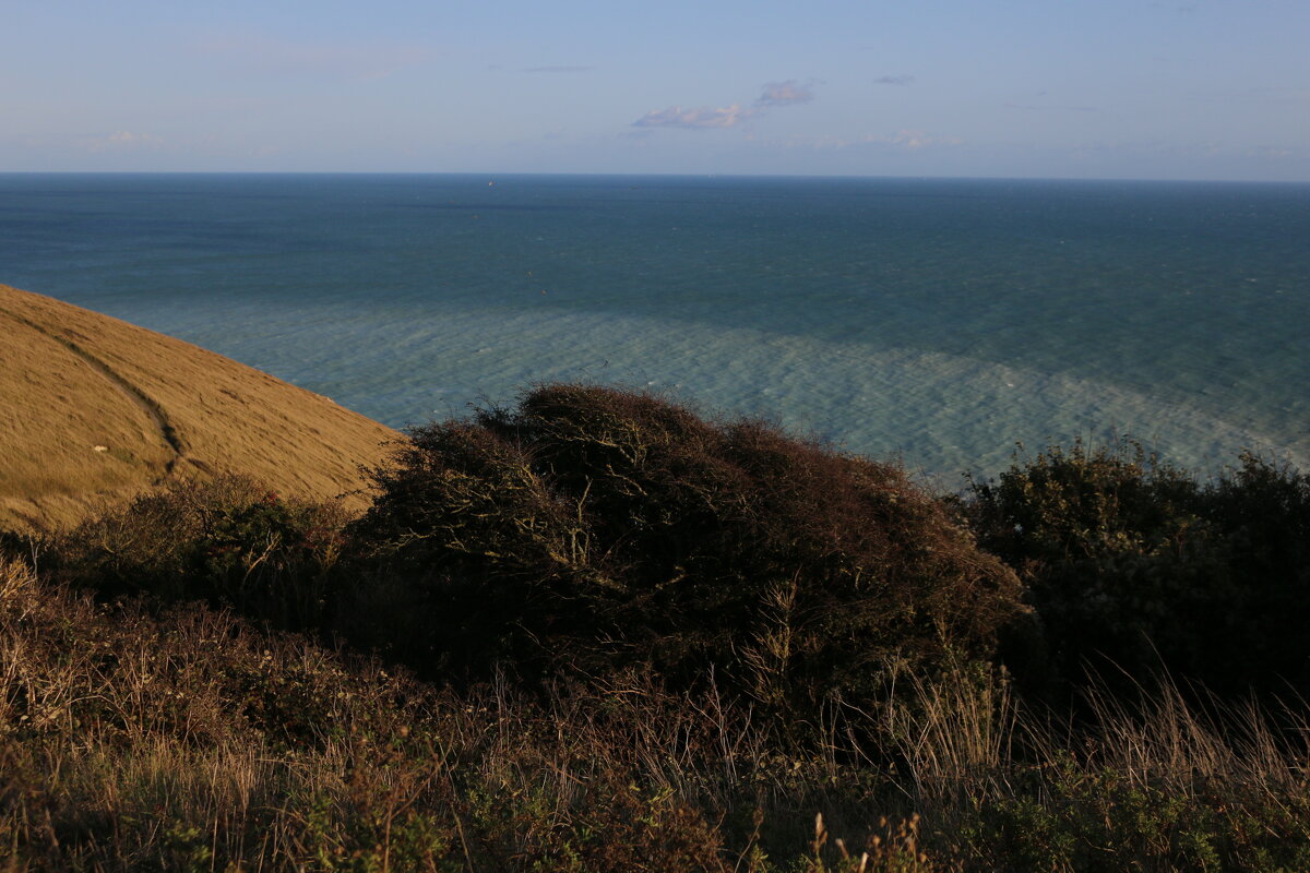 Осень у океана - Ольга Осень у океана - Ольга
