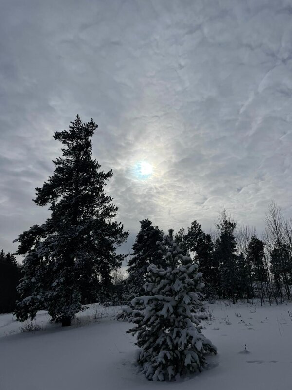 Солнце - Георгиевич Солнце - Георгиевич