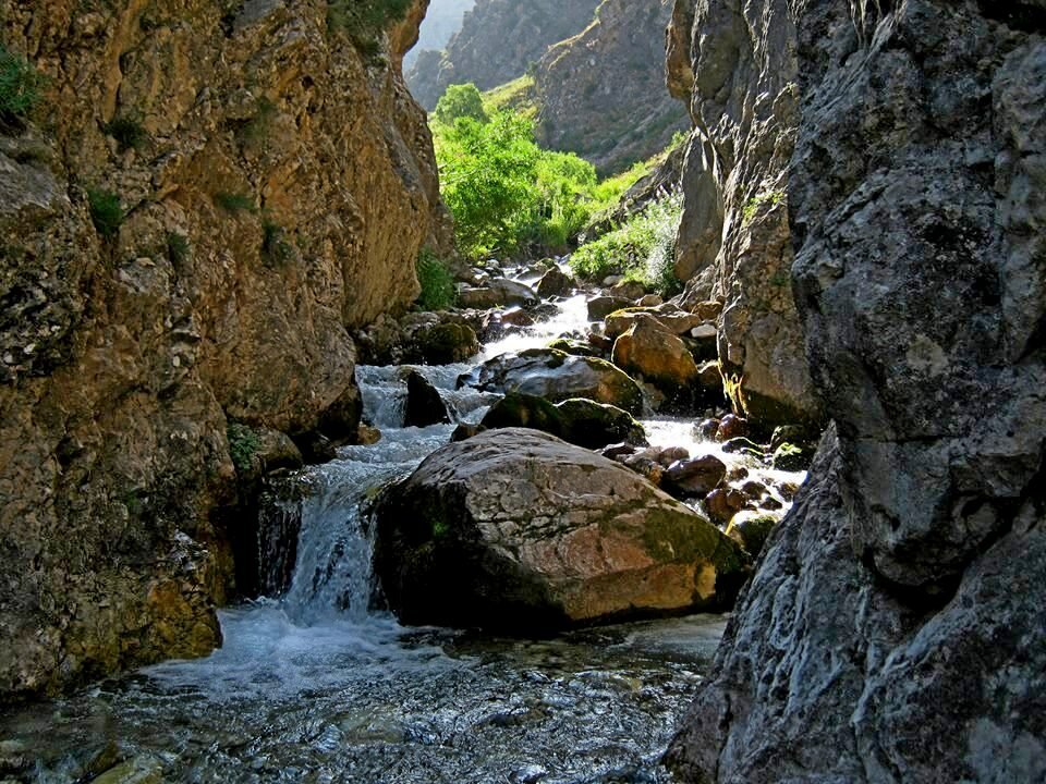 ГОРНАЯ ПРОГУЛКА. - Виктор Осипчук