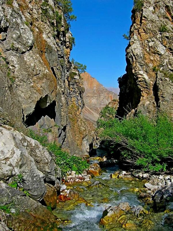 ГОРНАЯ ПРОГУЛКА. - Виктор Осипчук