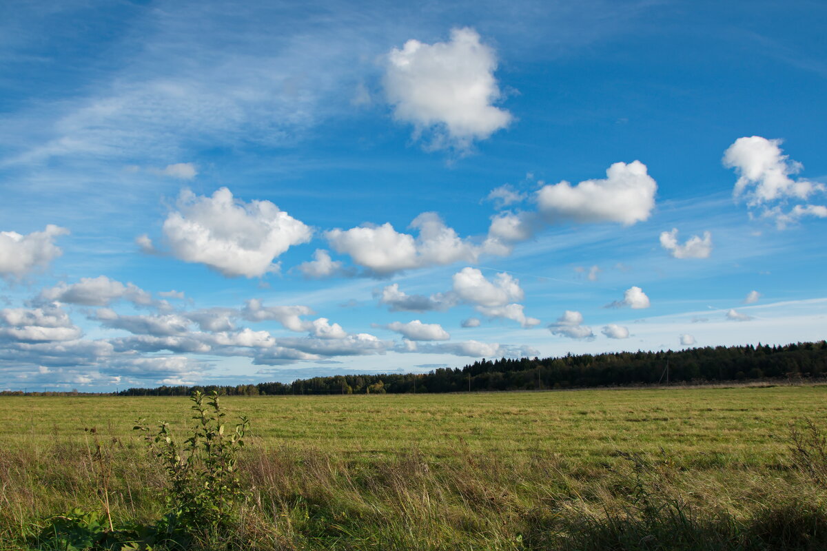 Летят по небу облака - lady v.ekaterina