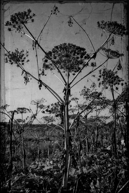 Название отсутствует - Денис Безногов