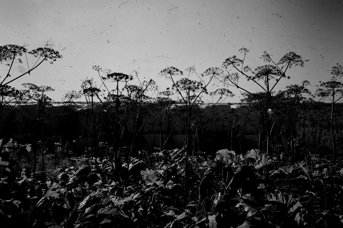 Название отсутствует - Денис Безногов