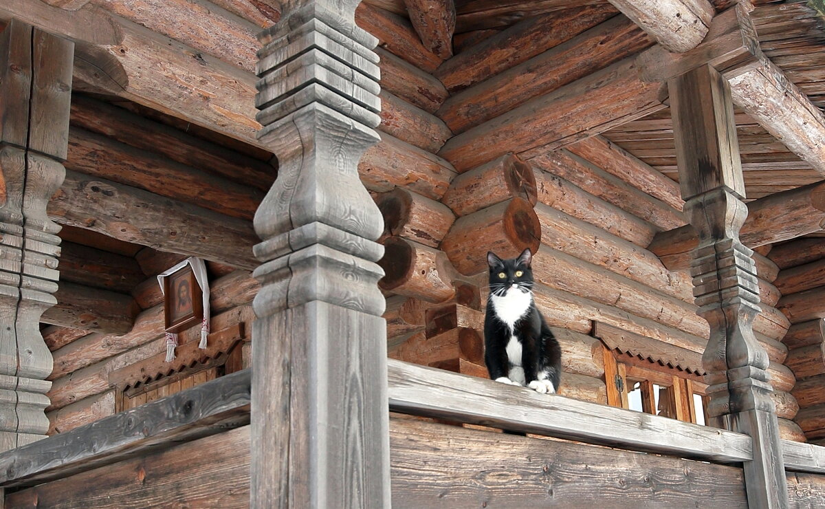 Усатый послушник усадьбы "Богословка" - Александр Алексеенко Усатый послушник усадьбы "Богословка" - Александр Алексеенко