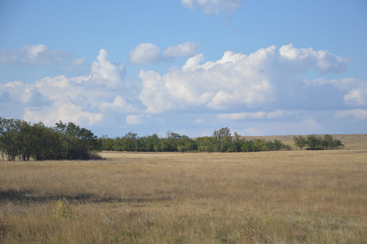 Осень в степи. - Виктор Осень в степи. - Виктор