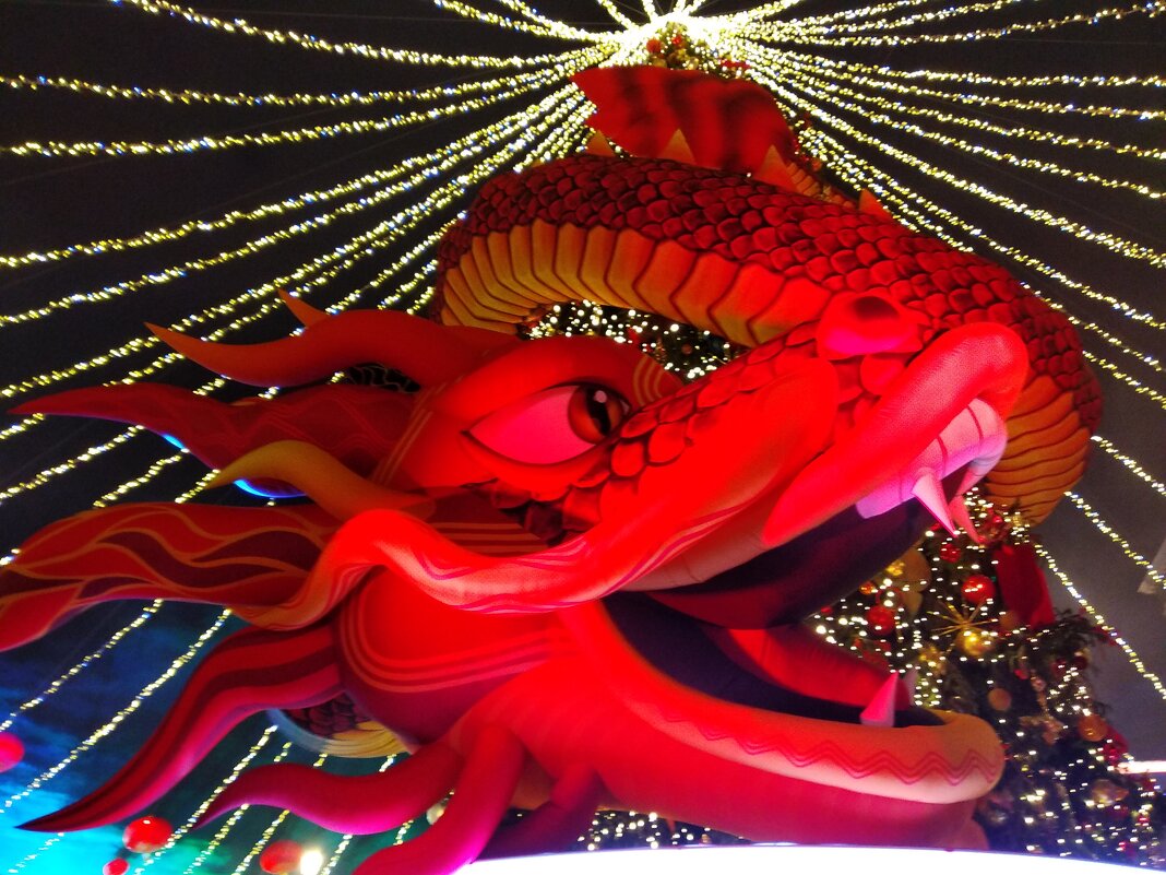 Китайский Новый год в Москве в 2025 году - Галина 