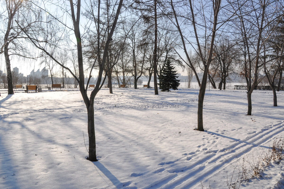Сквер Ильича в феврале - Татьяна Машошина Сквер Ильича в феврале - Татьяна Машошина