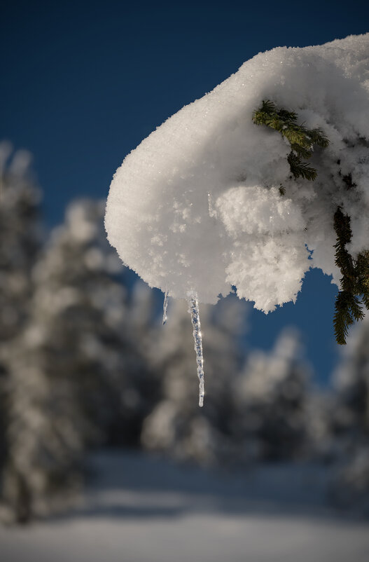 * - Александр Иванов * - Александр Иванов
