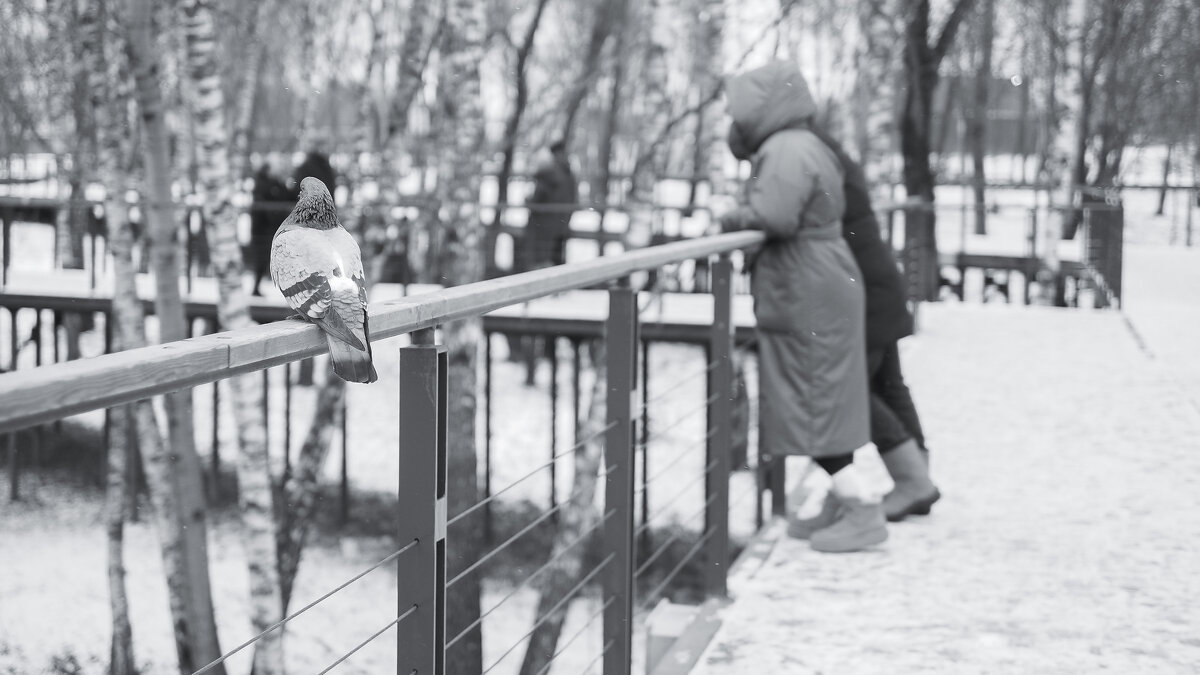 ***** - юрий поляков