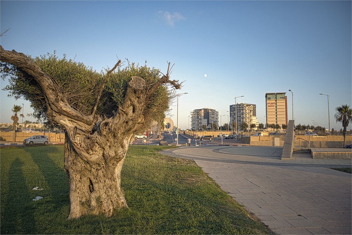 Краски Израиля Рассвет Ашдод Утро в городе 2023г - ujgcvbif 