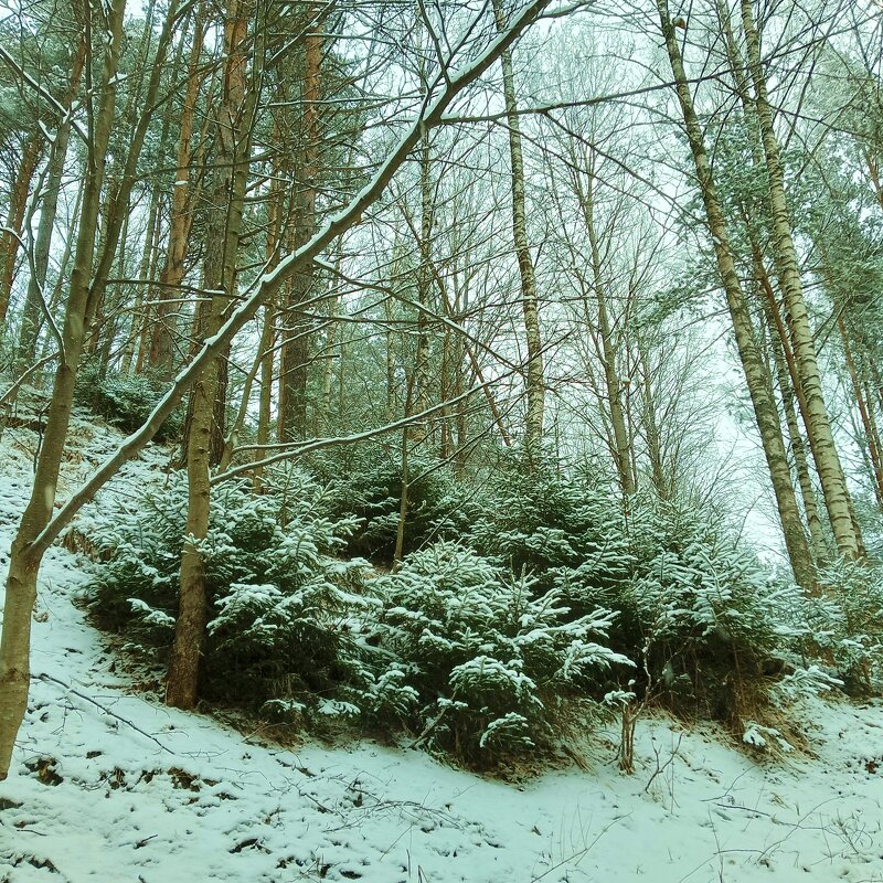 природа - Владимир природа - Владимир