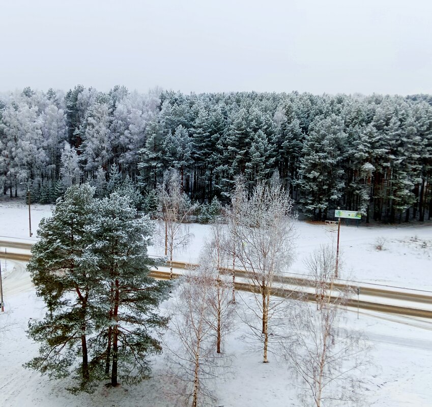 зима - Владимир 