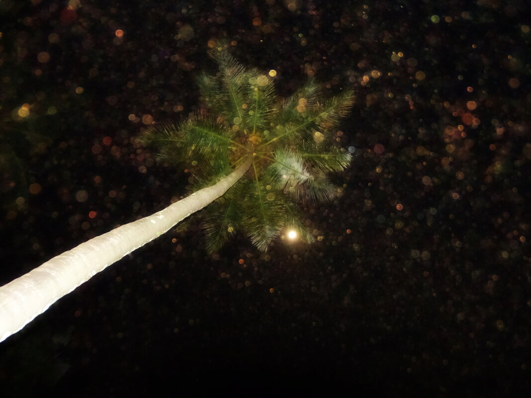 Атмосфера - Павел Трунцев