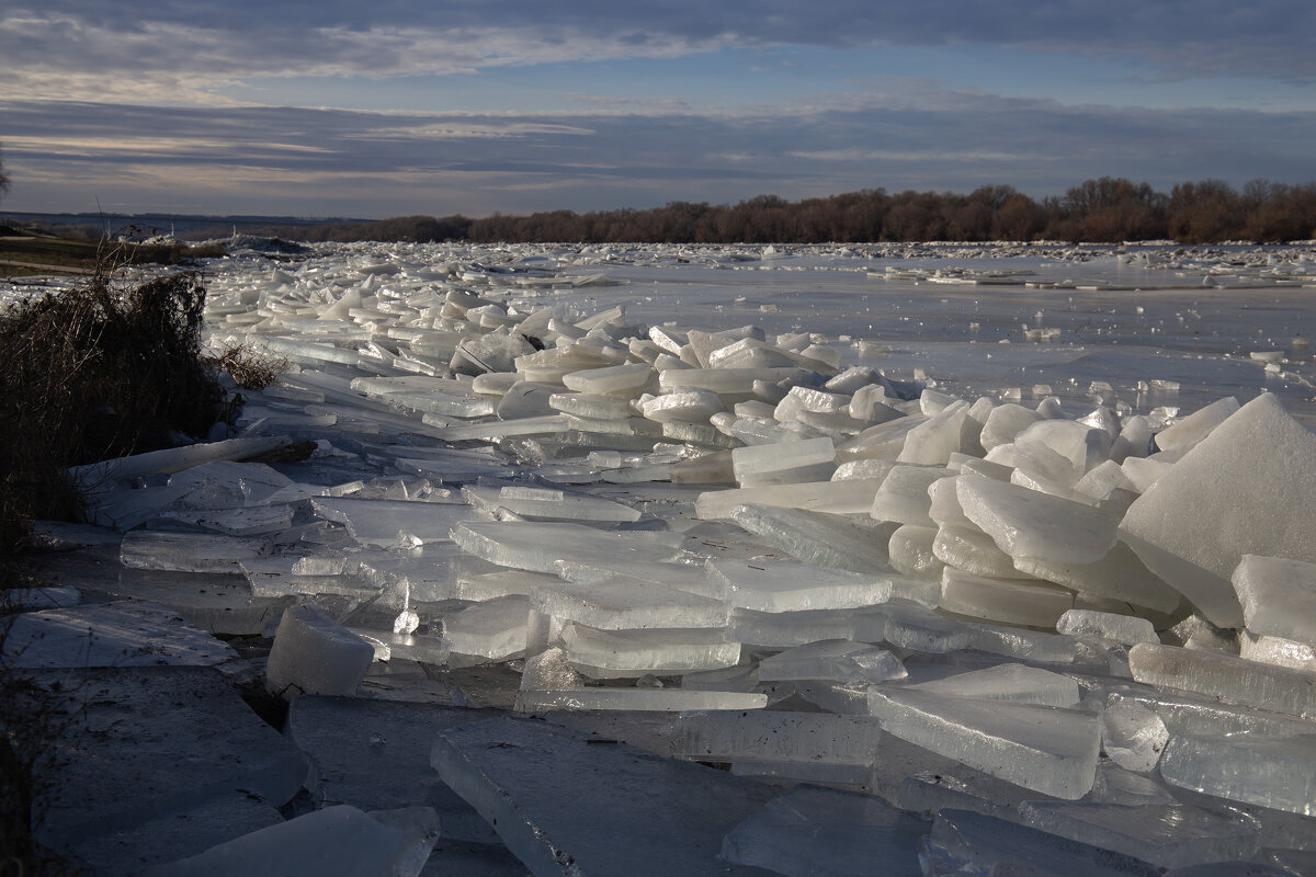 Январский ледоход на Оке - Светлана Карнаух Январский ледоход на Оке - Светлана Карнаух