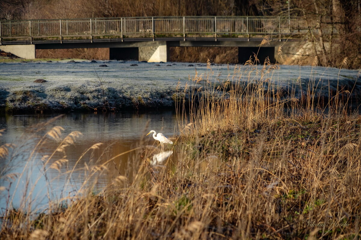 В ожидании... - Николай Гирш В ожидании... - Николай Гирш