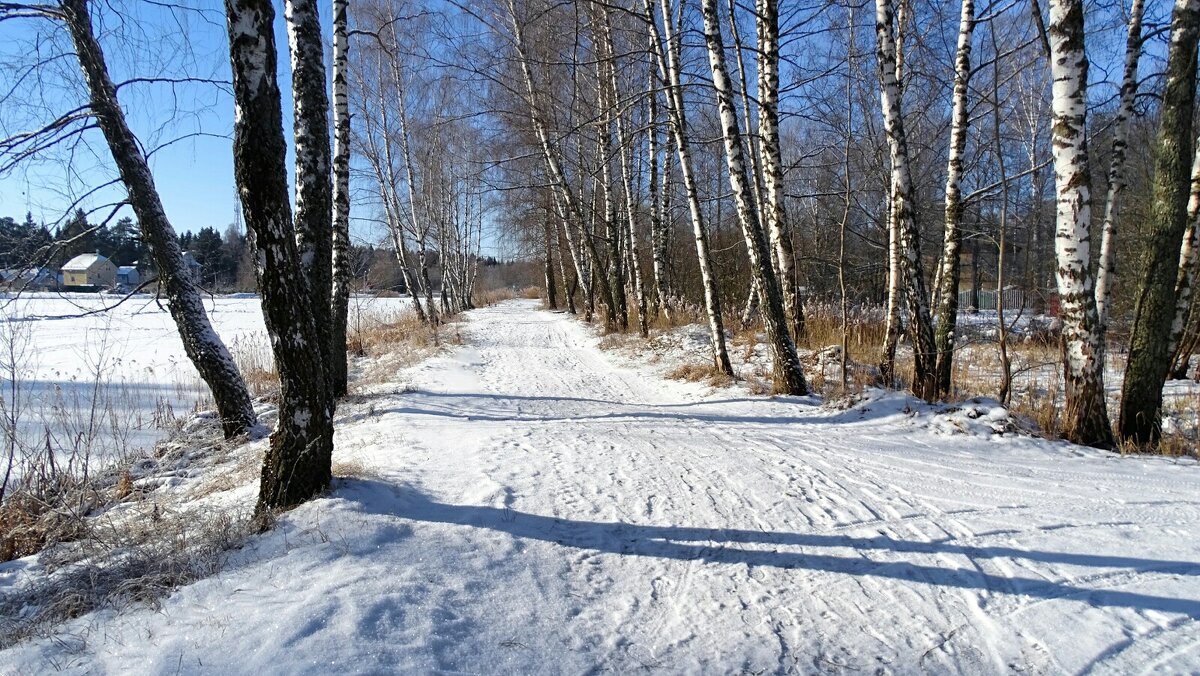 Про смоленскую зиму. - Милешкин Владимир Алексеевич 