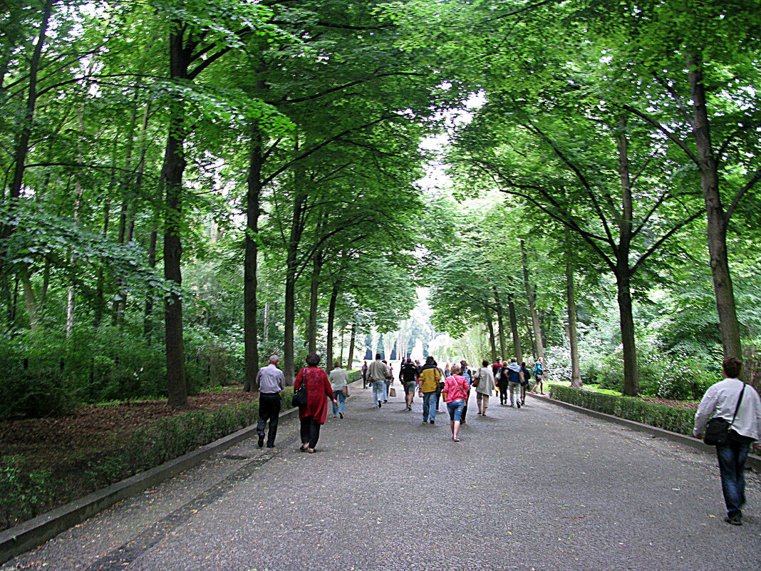 Германия. - Владимир Драгунский Германия. - Владимир Драгунский