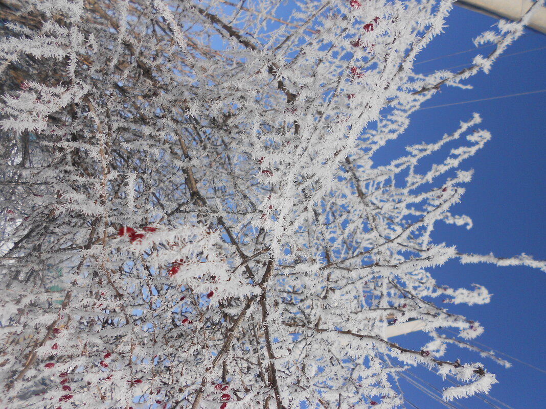 прошлогодний март - Елена Шаламова