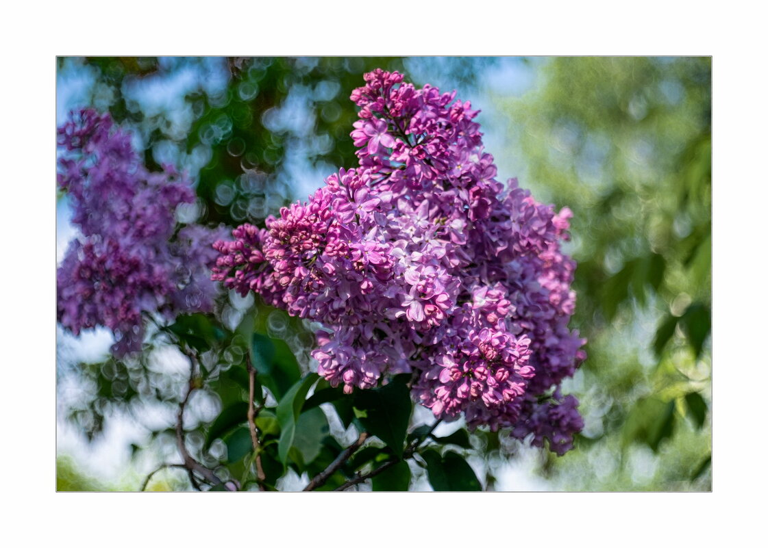 *** - Art __ *** - Art __